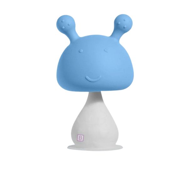 Mushroom Rattle Teether with storage box