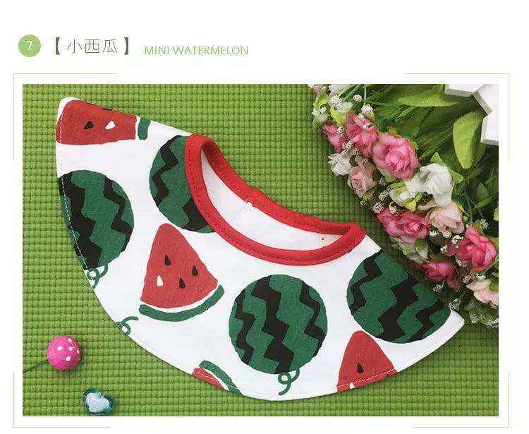 Fruits Bandana Bib